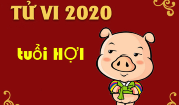 Tổng quan về xem tử vi tuổi hợi năm 2020 có gì nổi bật?