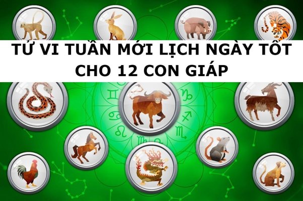 Tử vi trong tuần sắp tới cho tuổi Tý